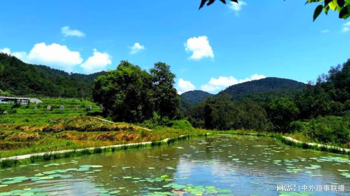 王者荣耀官网自助服务在哪