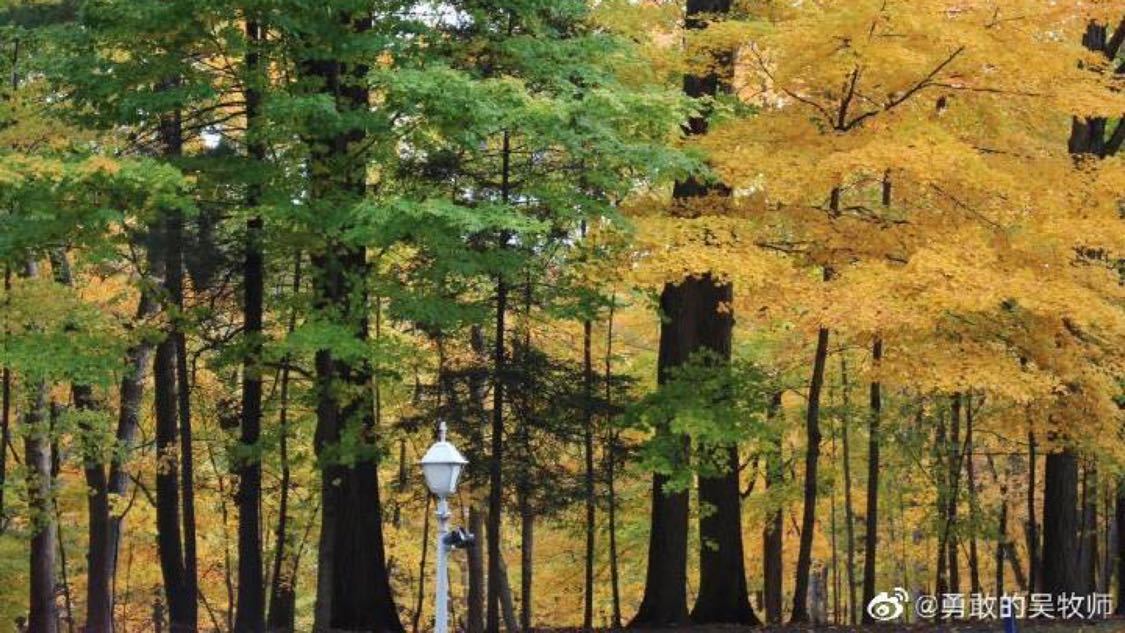 ks自助下单平台网站免费领取